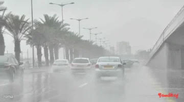 الأرصاد تكشف حالة الطقس غداً.. أمطار غزيرة تصل 60 ملم في 10 ولايات